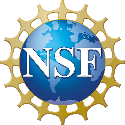 NSF award logo
